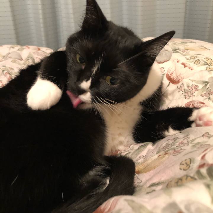 3c84090f 7057 46f8 a409 75da6b452fac 1518133286009