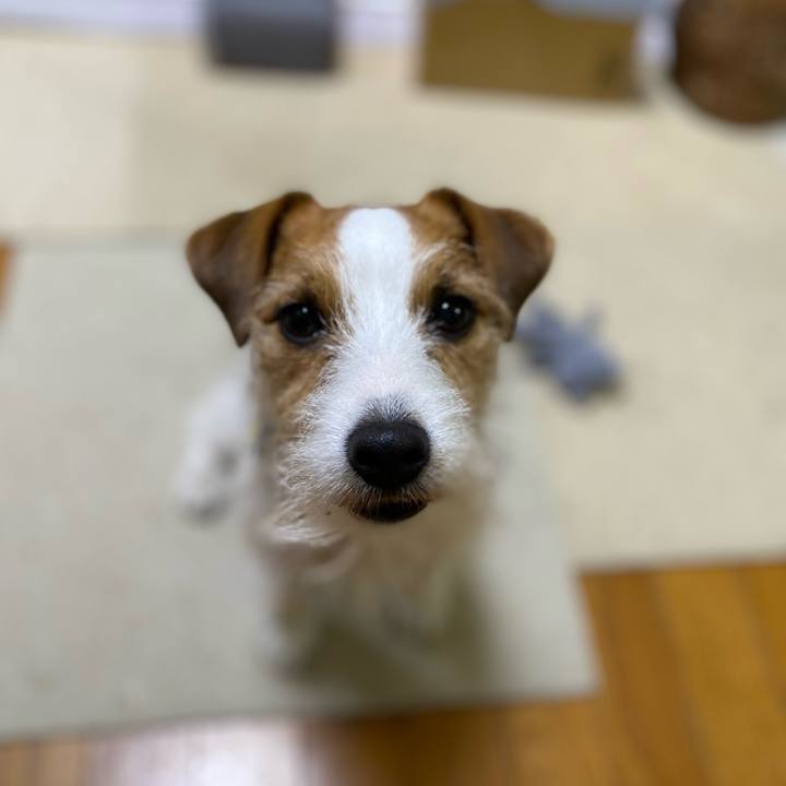 3c8422d2 b751 4078 a205 59276ccea49d 1678191361357