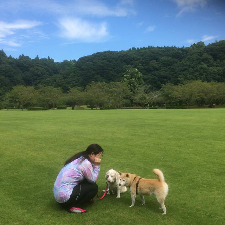 3c846007 8d8a 4517 ba70 6e7deb9dd037 1667577945580