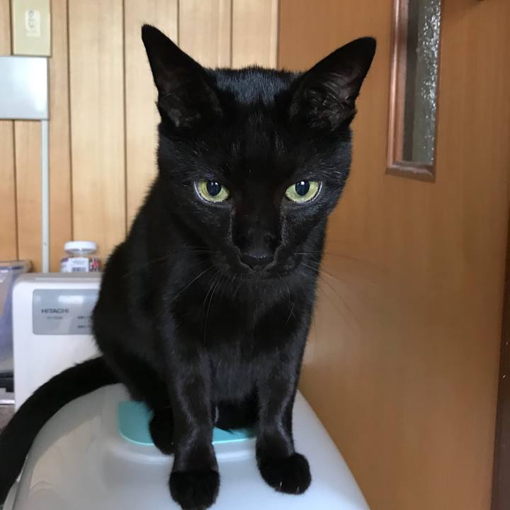 3c846c6b e90c 4b22 816a d999bfcd40e8 1508204613509