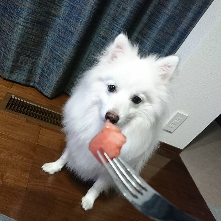 3c84a088 378e 4af9 b144 c495714665b6 1590992042730