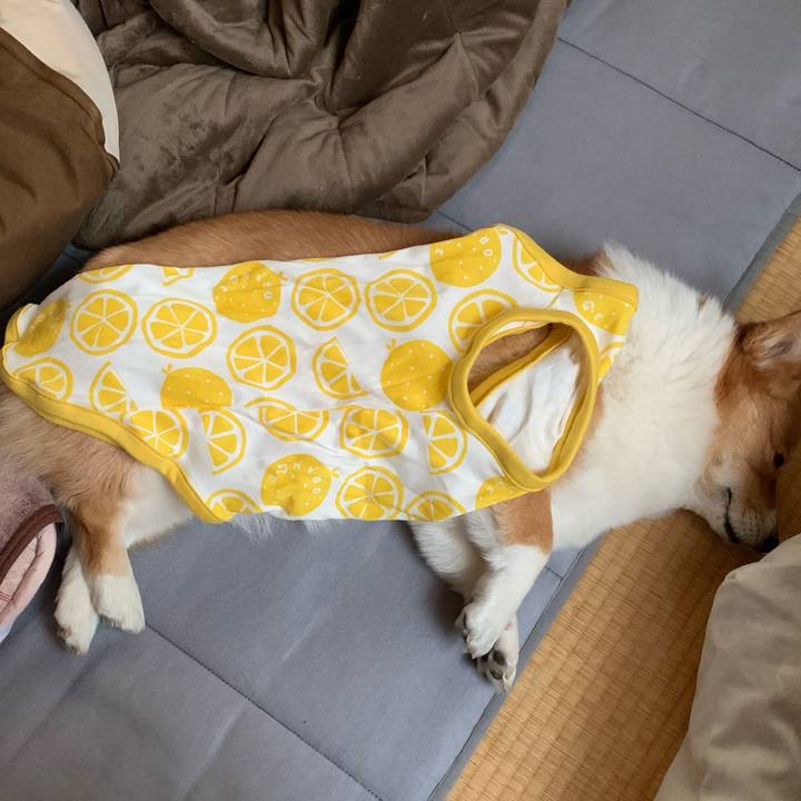 3c84a11a d095 40d5 8eab 085a5381ba57 1614680322204