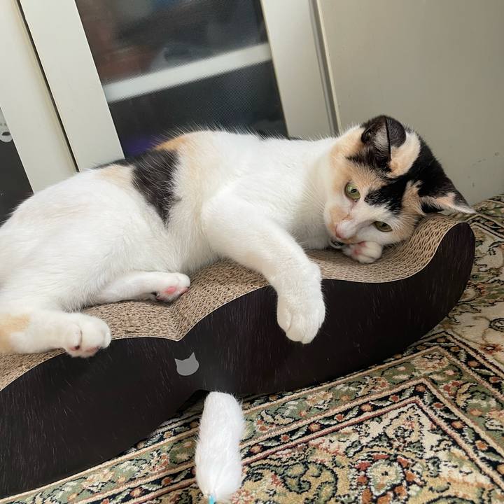 3c84bb5a 28bf 4739 af13 09842b55bc6e 1750984161533