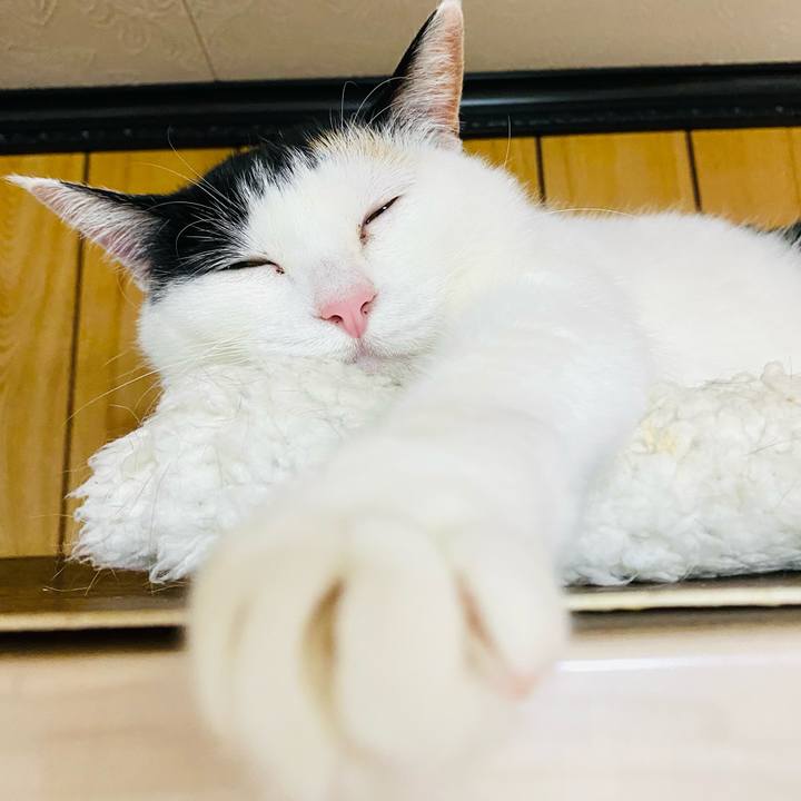 3c84d01c c226 4bd3 a49d 0baeec131809 1683818980993