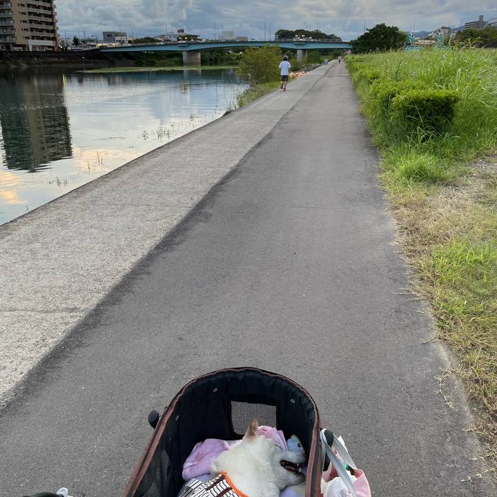 3c84d258 aa60 48d8 8c77 d995b3775a9b 1660219590610