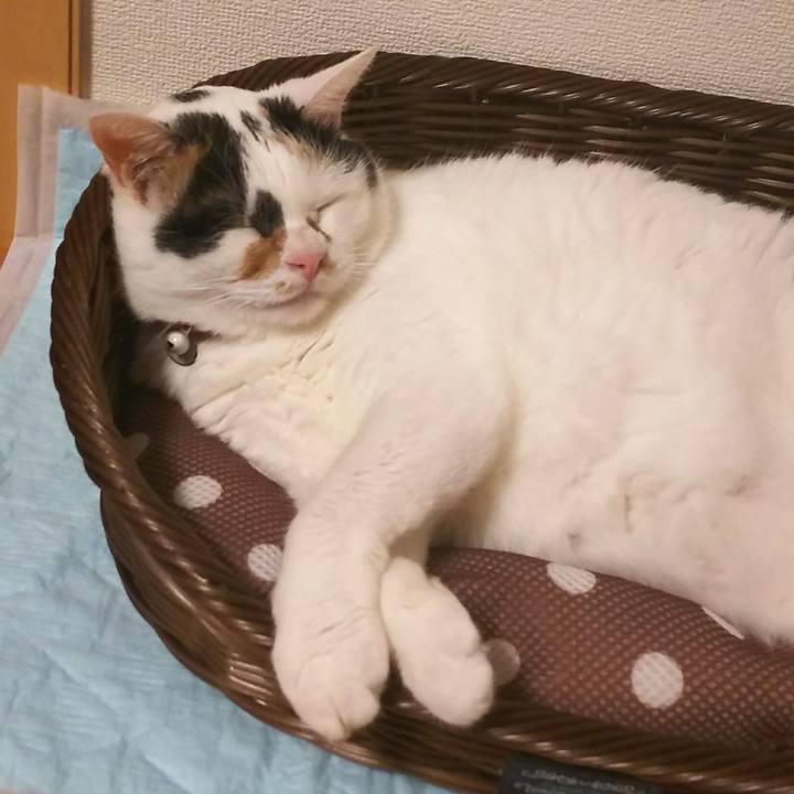 3c84d47f 1853 4bbb a891 de0a8630fa2c 1536151549824