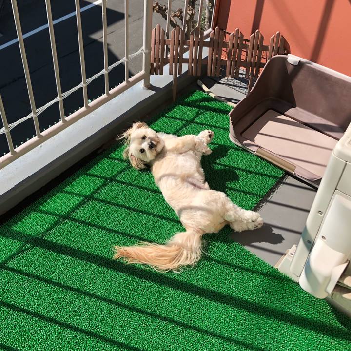 3c84ec0a 5729 43ae 92ec b235fb610859 1509330851114