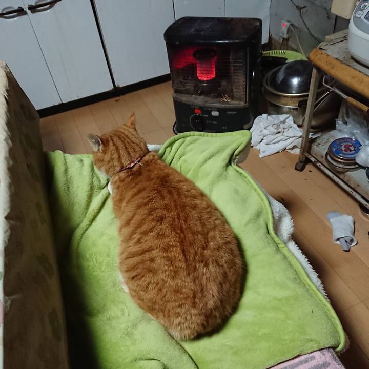 3c84f7c6 96d8 42f6 9366 0502e9e095da 1608149603787