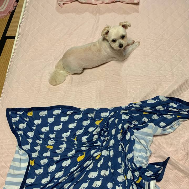 3c84fd15 7427 4b24 a452 7b92aa8b4951 1594551142535