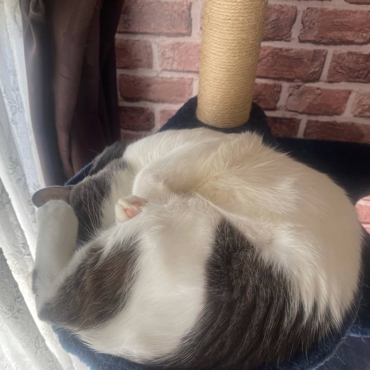 3c852676 97fc 40ad 96c6 fd95b70f297e 1636867418015