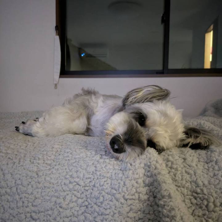 3c853b87 260c 4cf8 a4cd a32f04a8b0af 1759843136158