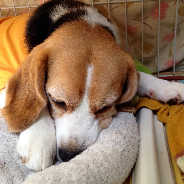 3c854210 cec3 4afd 9393 781362bf03bd 1752579053325