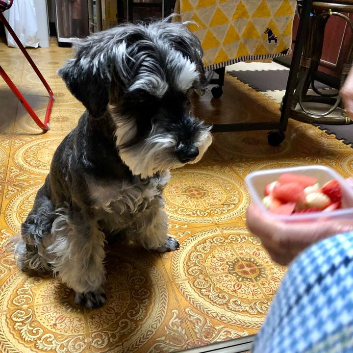 3c855cab d9ee 4a19 9719 d091c0f4a339 1653084719343