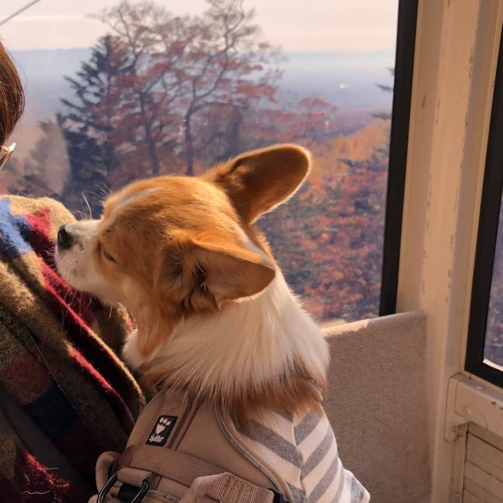 3c85bfb6 b3ec 4011 b7d5 36489a197866 1604237043086