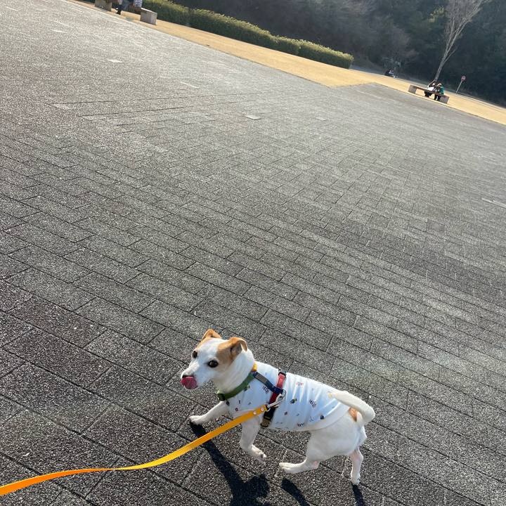 3c85e603 c896 4935 acc1 bb41409a4fd3 1647083027750