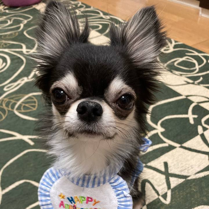 3c85f9d1 c055 4d39 8c93 088f6838b18f 1644071717115