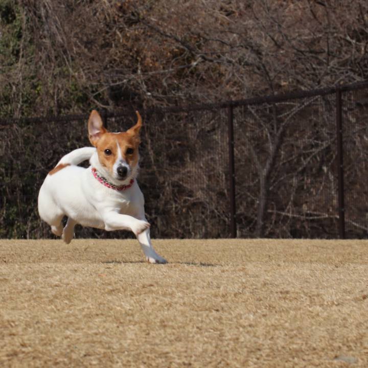 3c85fe12 f1fc 4980 b762 2e29ff1db57b 1541243746166