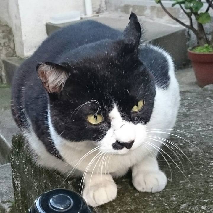 3c860456 bade 44ce a705 e7e4cf1883ba 1512197734047