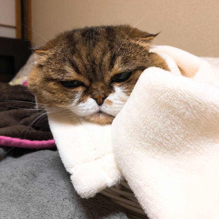 3c860e2e 5f84 48bc ae73 8ba306a6693b 1547046893168