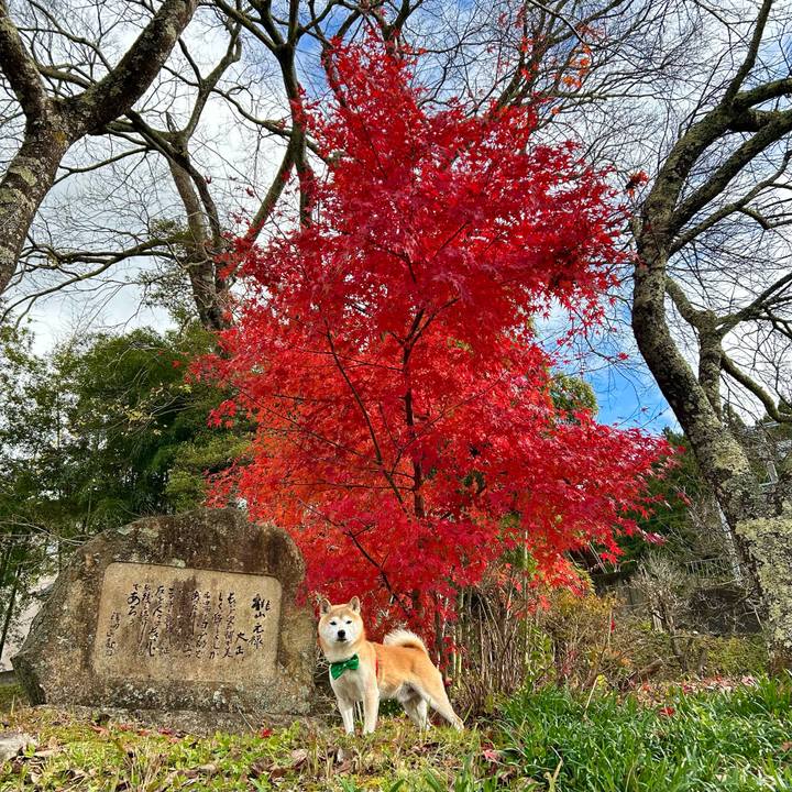 3c864f92 c1e2 4ecd aac8 df7bd6f4c9e3 1701420861105