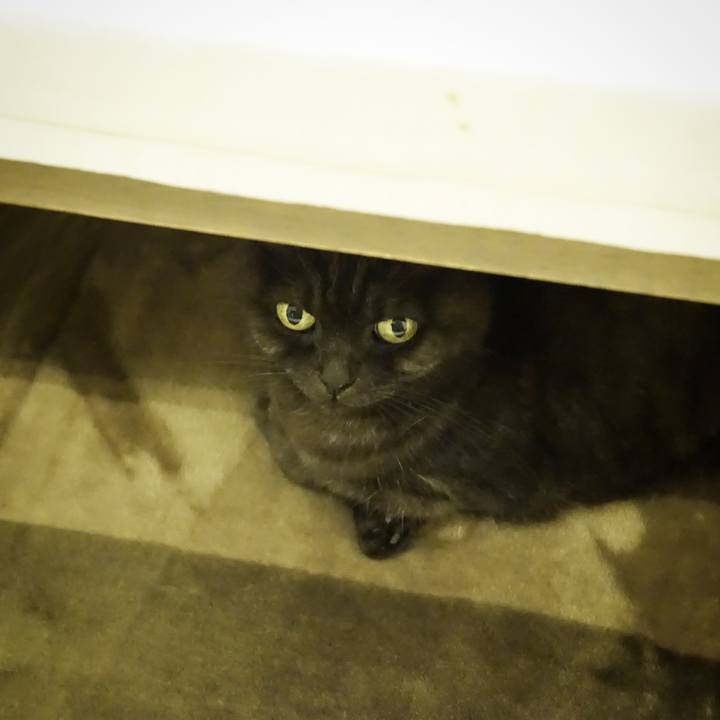 3c866965 9d8e 418b 96e5 b75cd07c4eff 1576160565416