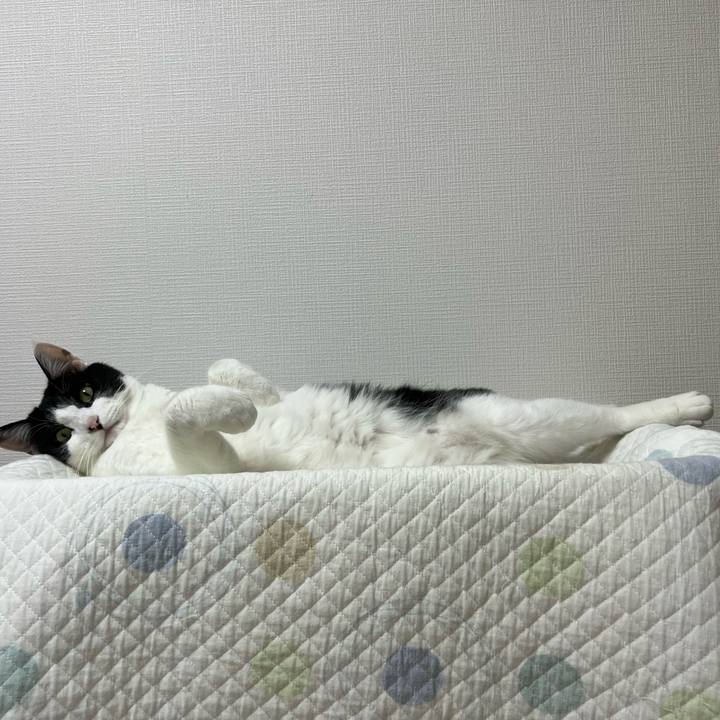 3c867a44 3c19 4494 b115 312896b4a9c5 1680620030011