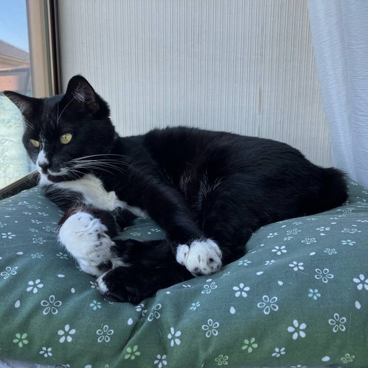 3c86b1ff 9e65 4728 9aa3 4caa44f99b6f 1732072071145