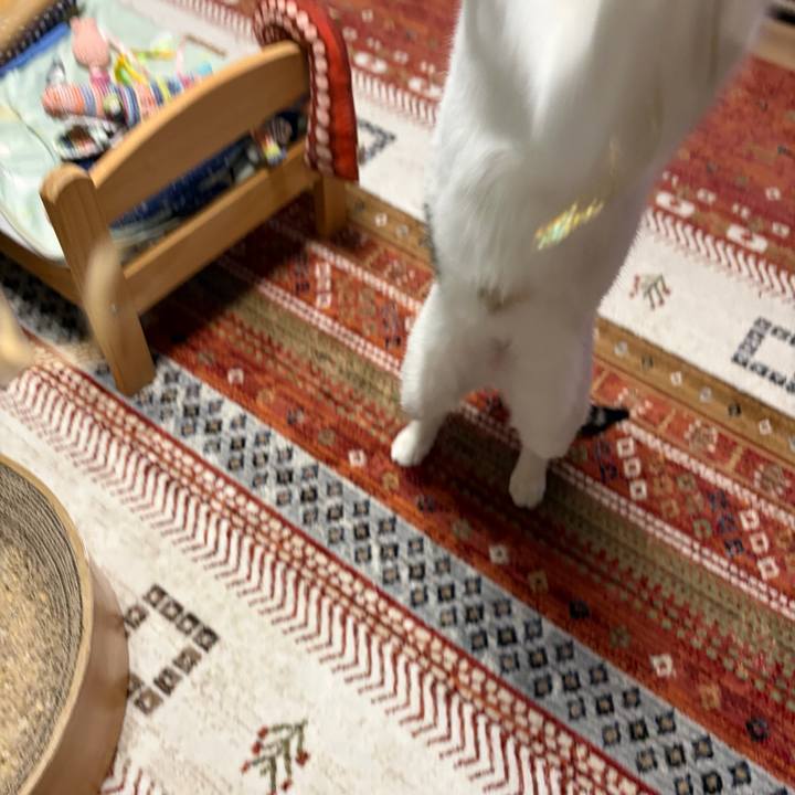 3c86e3c9 f0ba 444c 963f 6601fadbd2bb 1774996241689