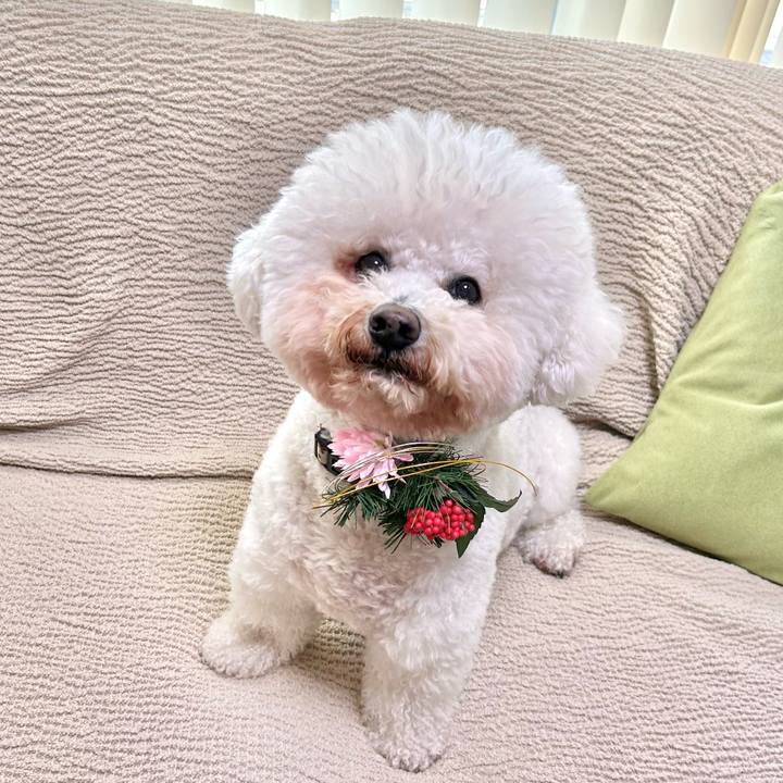 3c86f63d 7a1c 4532 90f9 307328a7f7ac 1767524769178