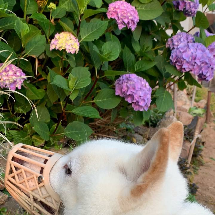 3c86feb0 4274 4b95 98e2 ffaf28405dc4 1626816667107