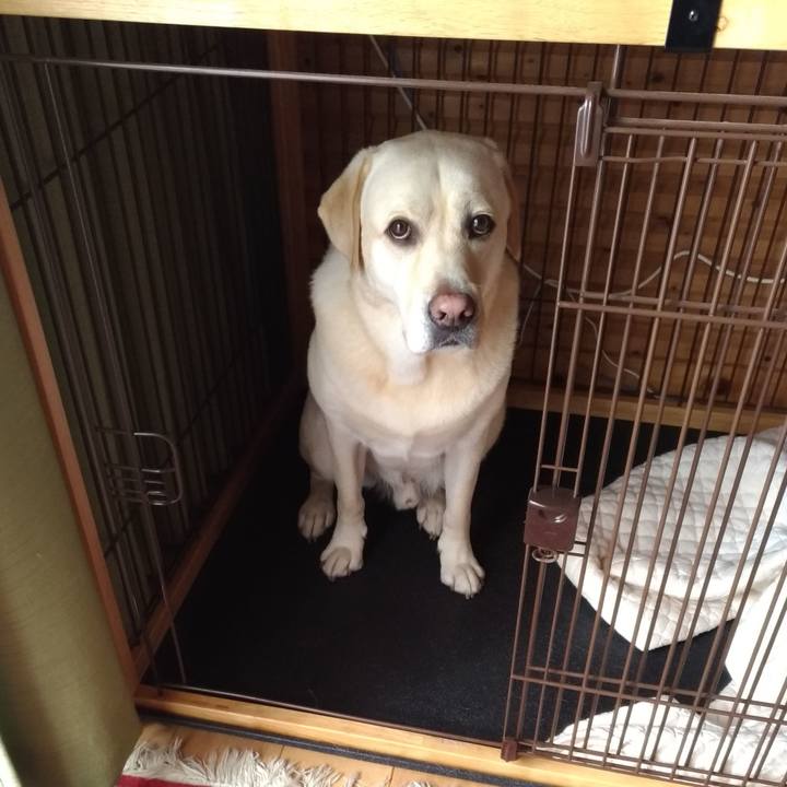 3c871901 27f7 471f a40d fce63f0887ef 1568848666219