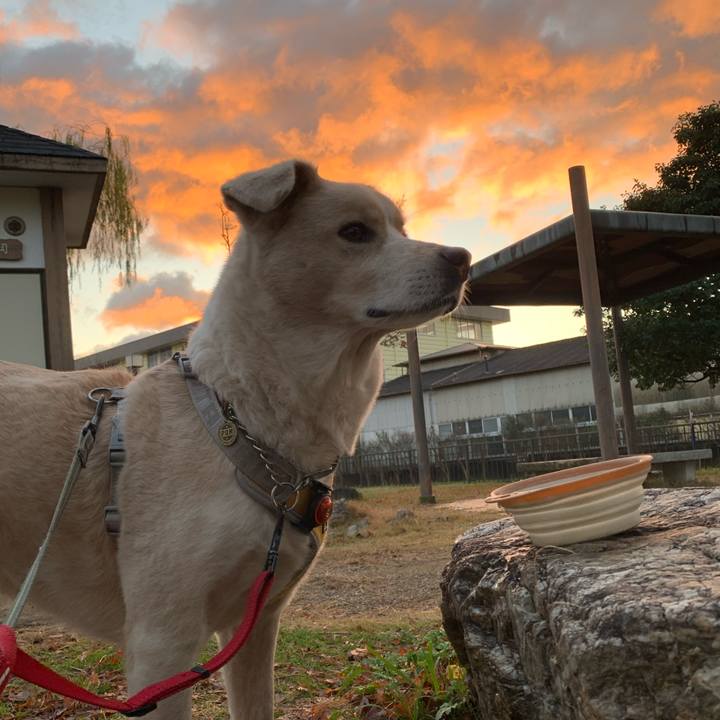 3c872174 2764 46a3 aa60 32e0bc137e7a 1577423436058