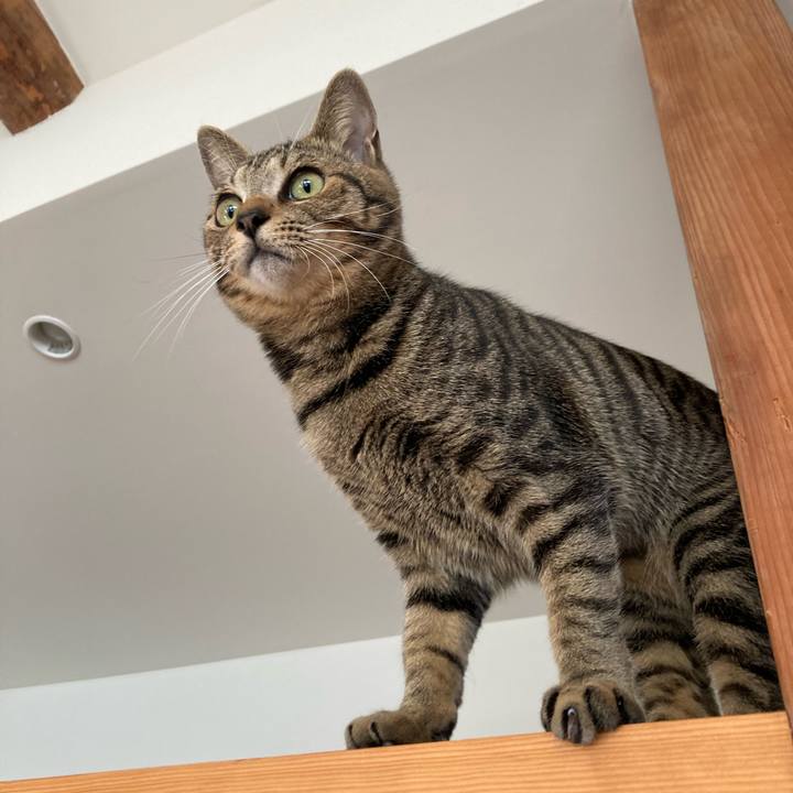 3c8721c7 8254 474c 9aca cc82a9aff908 1672618143602