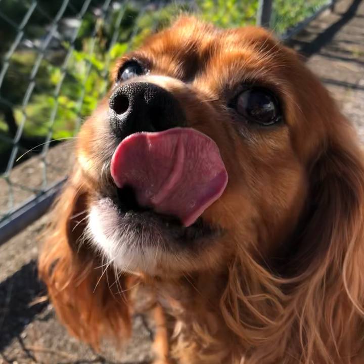 3c87267b 9458 4538 91c7 244c50f946d9 1633824690466