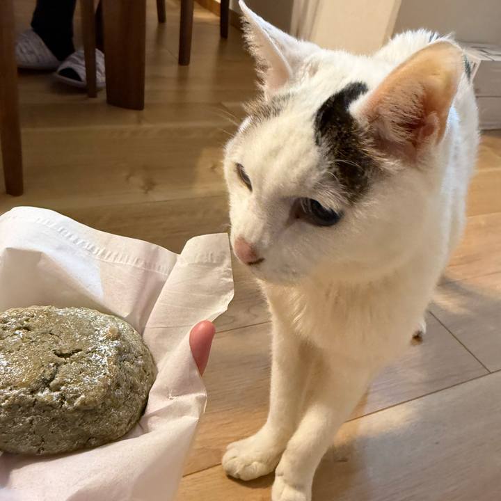 3c8759c5 dd58 491c b3ea e75db4c7f846 1764316257835