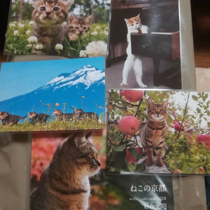 3c877f3d 3b26 4afd b82b ce735abf324a 1514967493317