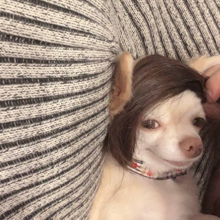 3c879075 4db1 4e91 853c 2b17820f22b4 1725452492210