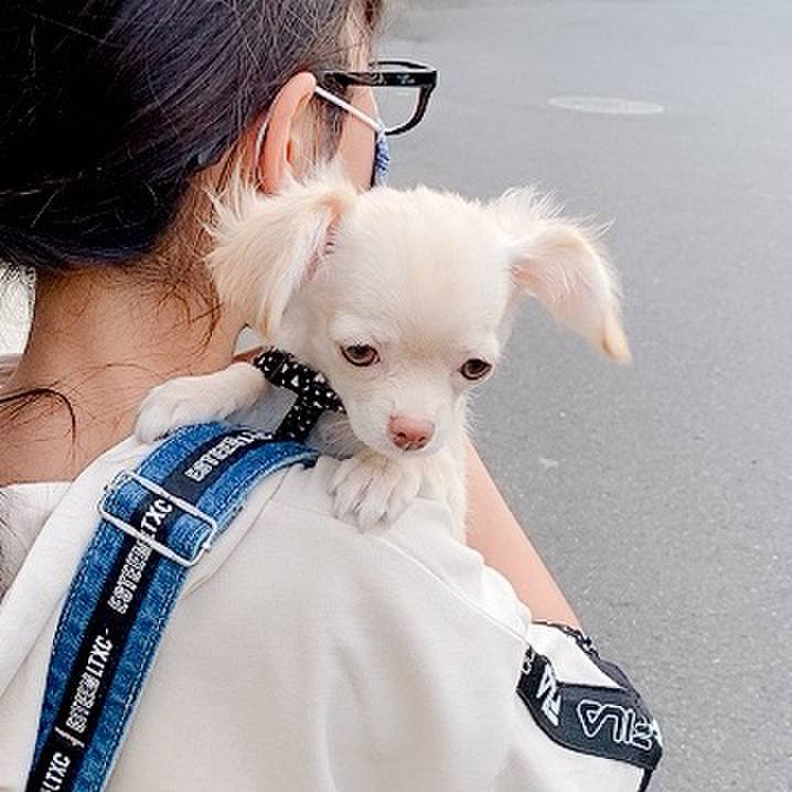 3c87a356 56fd 4ffb 9e40 c237019c8bf9 1592221487628