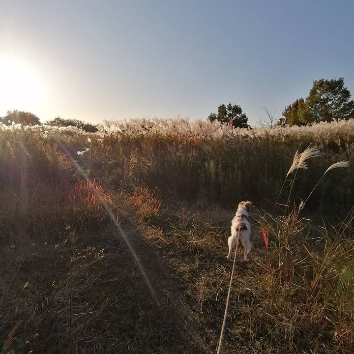 3c87aac0 f7c9 46eb 9d8f 03557a9634c4 1573806527562