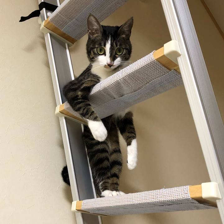 3c87d59e 8566 44f5 916b 9794a05fdaa1 1518579775820