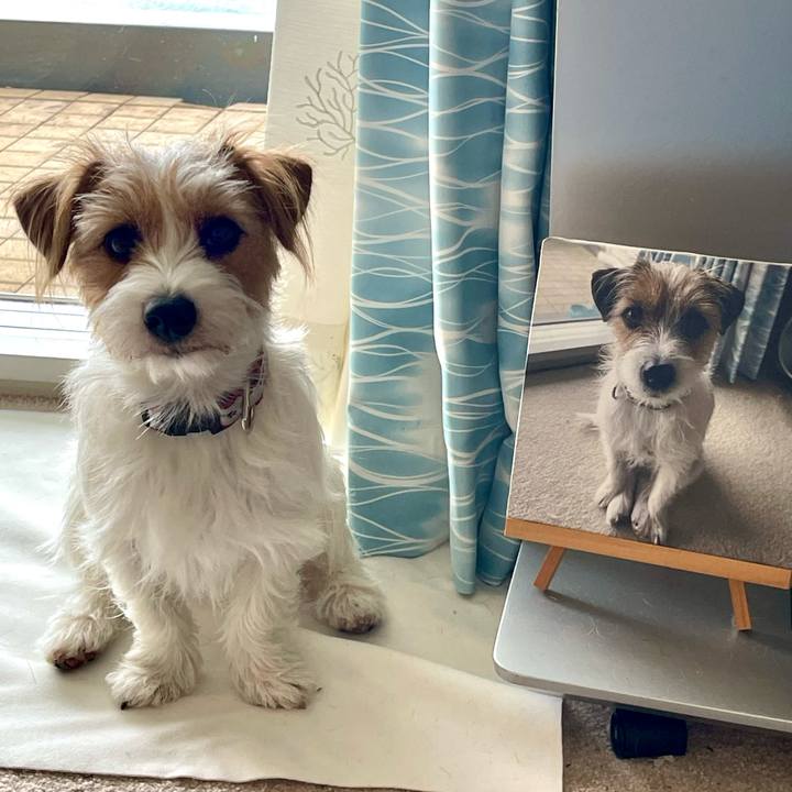 3c87ee70 dee0 4f8d 8ae1 cf017b810d0b 1768874058308