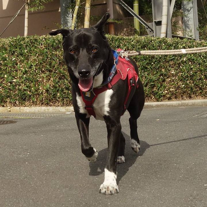 3c880af5 713d 4a82 a074 507fdd83bbc1 1681779470208