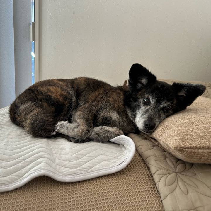 3c880b3f 1009 44d8 86f9 e8161008b36c 1728635478429