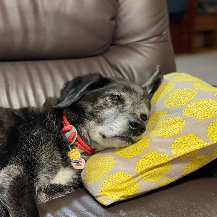 3c881222 6081 4042 ac23 895d290cf3d9 1774094068915