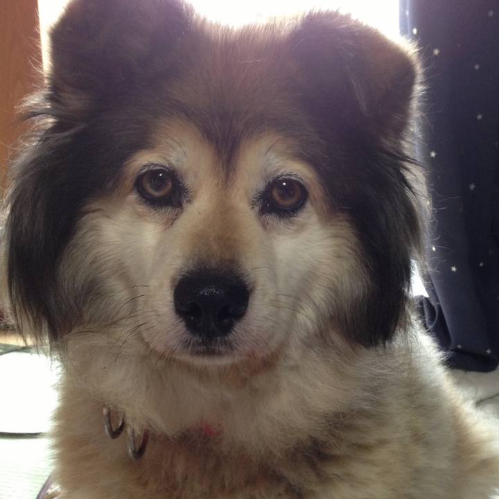 3c881678 f027 4e0f acc4 4089f8a17530 1580791350501