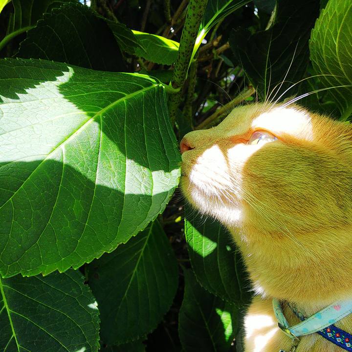 3c883a86 4352 47ce 9b04 7446cc90523b 1630371986726