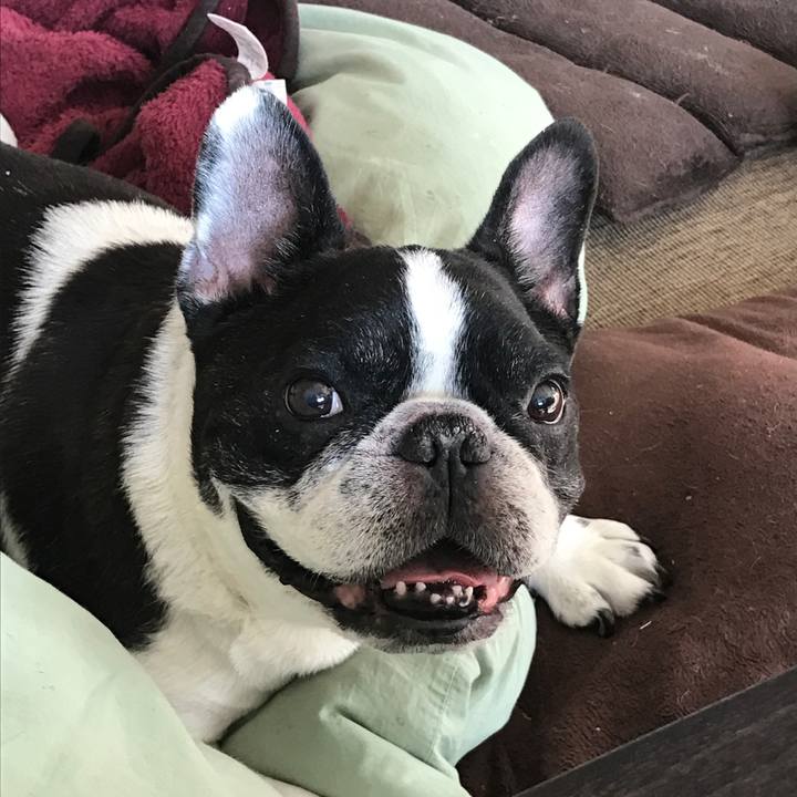 3c886ac0 6db5 4dd6 a919 e1250164ec16 1547777751589