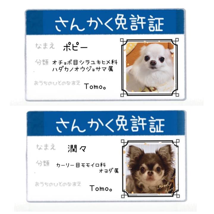 3c8877fe 5b7b 4208 9600 da244296ecec 1659785152566