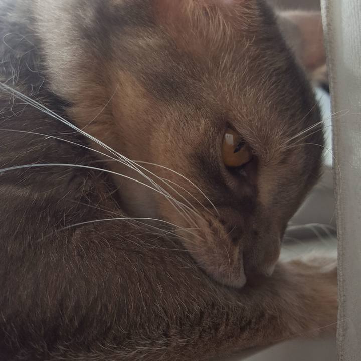 3c888352 acc5 47f3 b8df a52cd7a0ce15 1571451804993