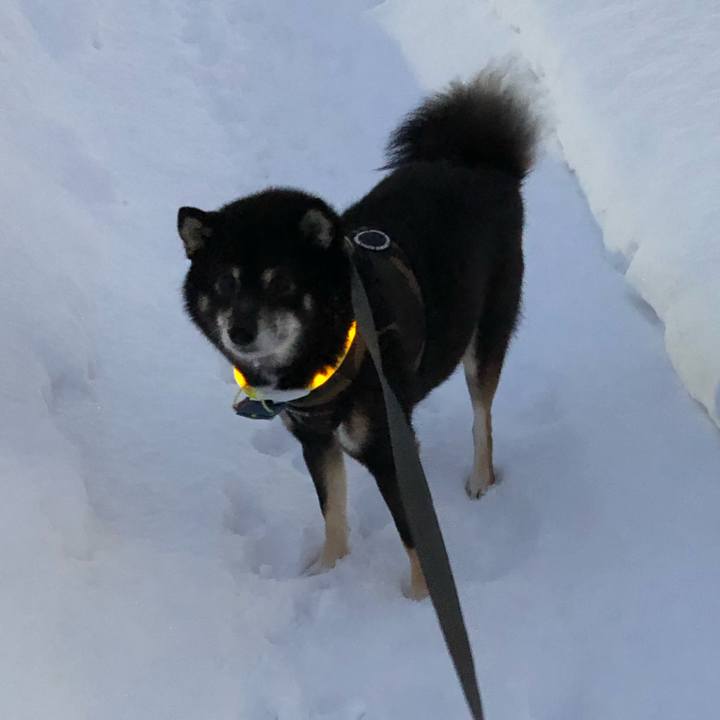 3c895126 6dfb 4511 a2b7 6b0e2f28133d 1547295879491